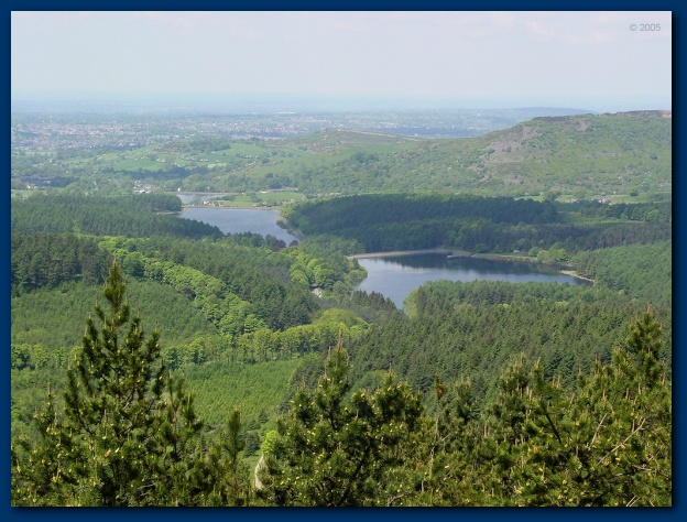 600x449 pixels (142K)